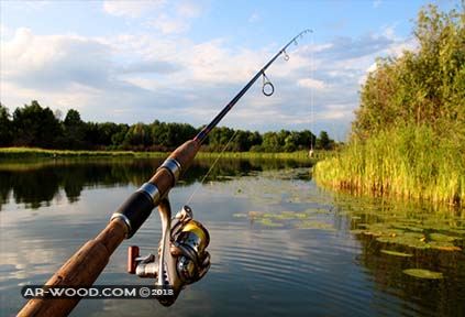 اسهل طريقة لصيد السمك بالسنارة