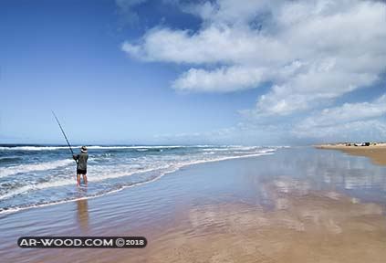 صيد السمك بالسنارة من الشاطئ