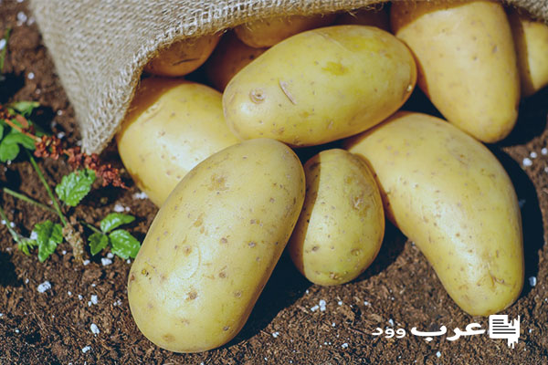 تفسير حلم جمع البطاطس من الارض